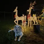 Villa Ursus *