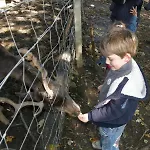 Villa Ursus Smrecje