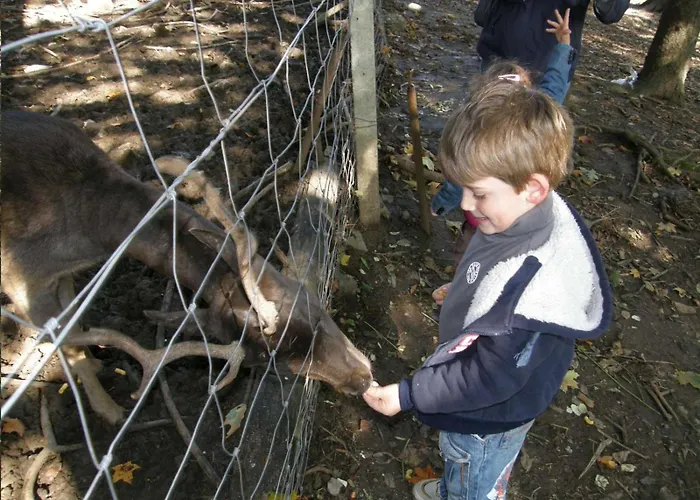 别墅 Ursus Smrecje